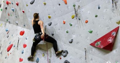 катерачка на катерачна стена