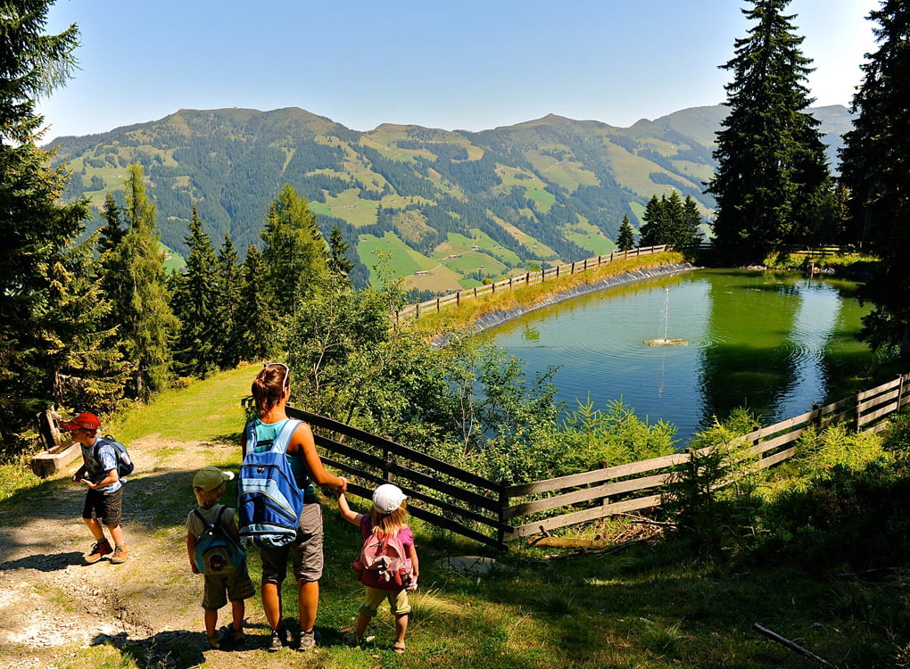пейзаж от алпбах, тиролски алпи, австрия