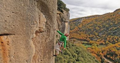 Менестрел, Върхове