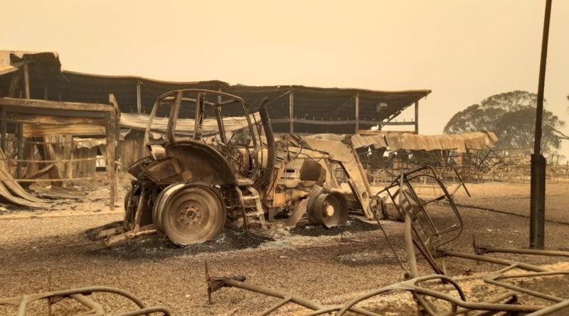 австралия пожари ски курорт