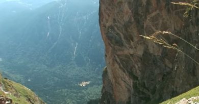 Белият улей, снимка: Скрийншот/YouTube