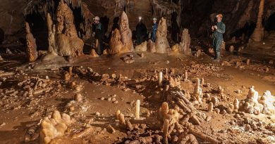 пещерата Бруникел