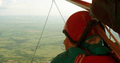 делтапланерист околчица