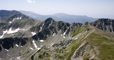 Дончови караули