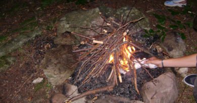 огън, огнище