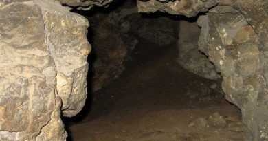 Скални ниши село Царевец