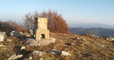 връх Козница