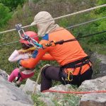 Лакатник тролей