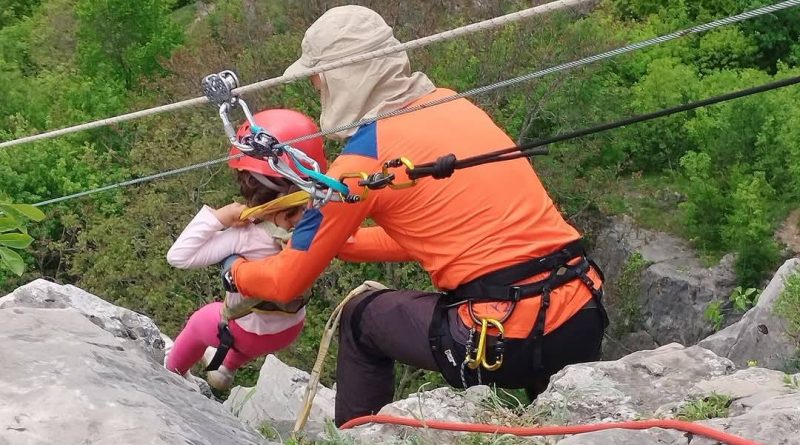 Лакатник тролей