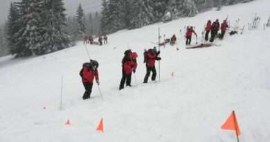 търсене лавина