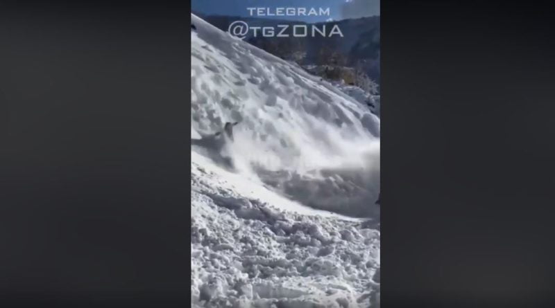 лавина турция