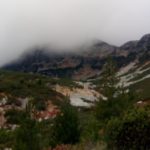 мальовица в мъгла