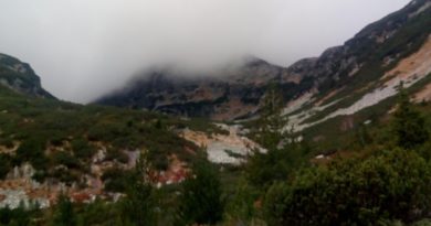 мальовица в мъгла