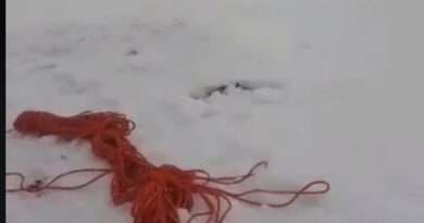 stara palaninaq Varhove