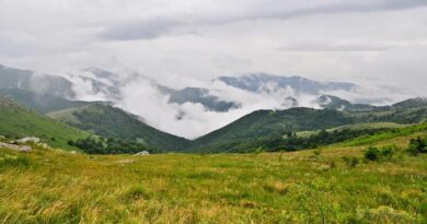осогово
