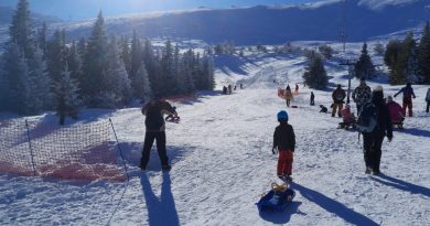 писта за шейни на алеко