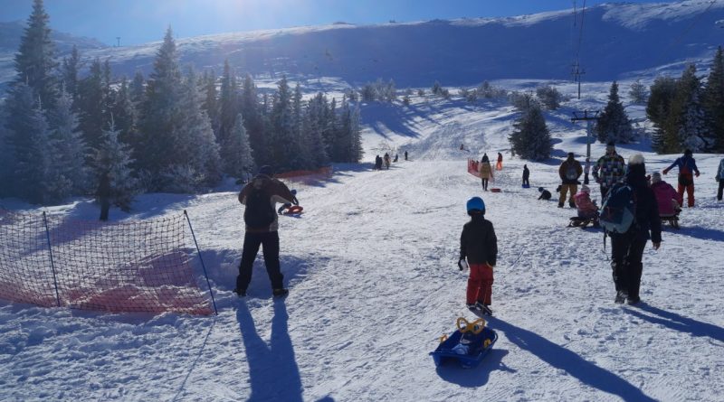 писта за шейни на алеко