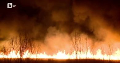 пожар драгоманско блато