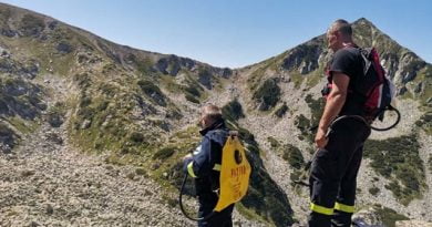 Пожар в Пирин