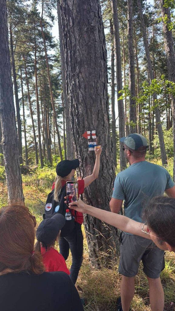 ПОЛАГАНЕ НА ТУРИСТИЧЕСКА МАРКИРОВКА НА ДЪРВО В РОДОПИТЕ
