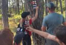 ПОЛАГАНЕ НА ТУРИСТИЧЕСКА МАРКИРОВКА НА ДЪРВО В РОДОПИТЕ
