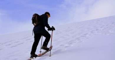 снегоходки