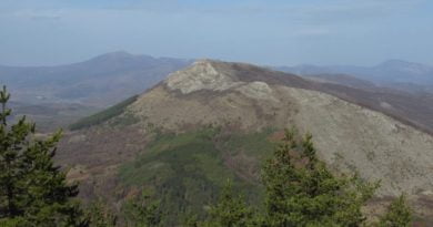 връх стража