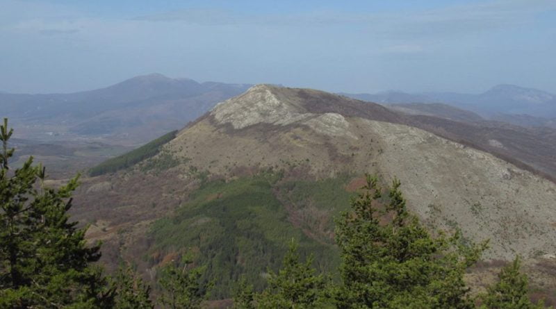 връх стража