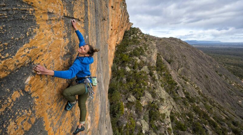 Taipan Wall австралия