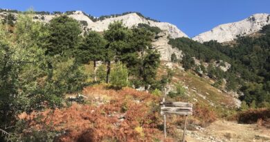 Тасос Ипсарио