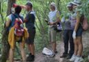Обновиха маркировката по Вазовата екопътека