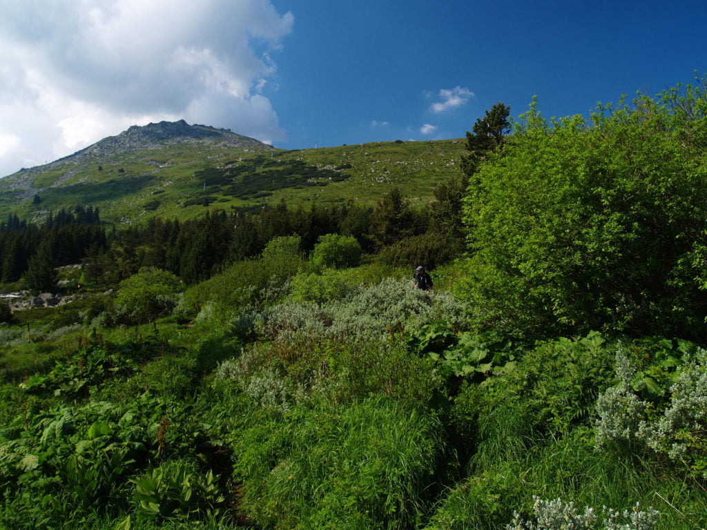 vitosha-prolet-peizaj