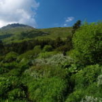 vitosha-prolet-peizaj