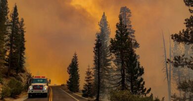 национален парк йосемити пожар