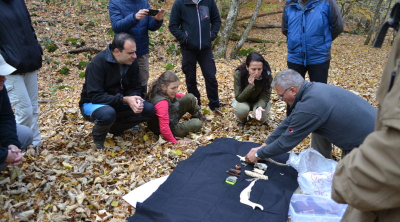водачи защитени паркове